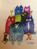 The Curious Cat Society
